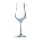 CT959 Juliette Champagne Flutes 230ml (Pack of 24)