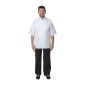 Capri A915-34 Executive Chefs Jacket White 34
