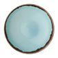 Harvest FX166 Coupe Bowls Turquoise 248mm (Pack of 12)