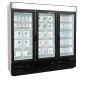 Tefcold NF7500G