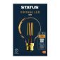 FW525 320 Lumens Globe Golden Light Bulb Crystalite Antique LED G80 BC 4W