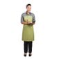 B190 Bib Apron Lime