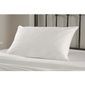 Palace HR045 Value Pillow White