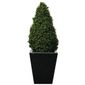 CD160 Artificial Topiary Buxus Pyramid 1200mm