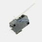 024802/51 Microswitch for Cooking Equipment