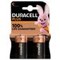 Plus C 1.5V Alkaline Batteries (Pack of 2)