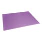 FX108 Low Density Purple Chopping Board 600x450x10mm