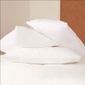 GT799 Polyzip Pillow Protector White
