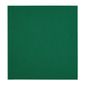 Fiesta Recyclable FE268