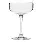 DM270 Polycarbonate Coupe Glasses 210ml (Pack of 12)