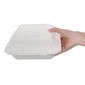 Fiesta Compostable FC526