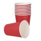 Fiesta Recyclable GP407