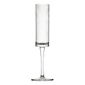 Lucent Level FU608 Polycarbonate Champagne Glasses 165ml (Pack of 6)