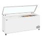 Tefcold ST700