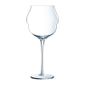 DF846 Macaron Wine Glasses 600ml (Pack of 12)
