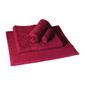 HB537 Mitre Comfort Nova Colour Wine Towel Set