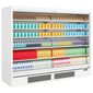 Tefcold 46493