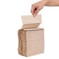 Fiesta Recyclable FE211