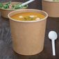 Fiesta Compostable FB166