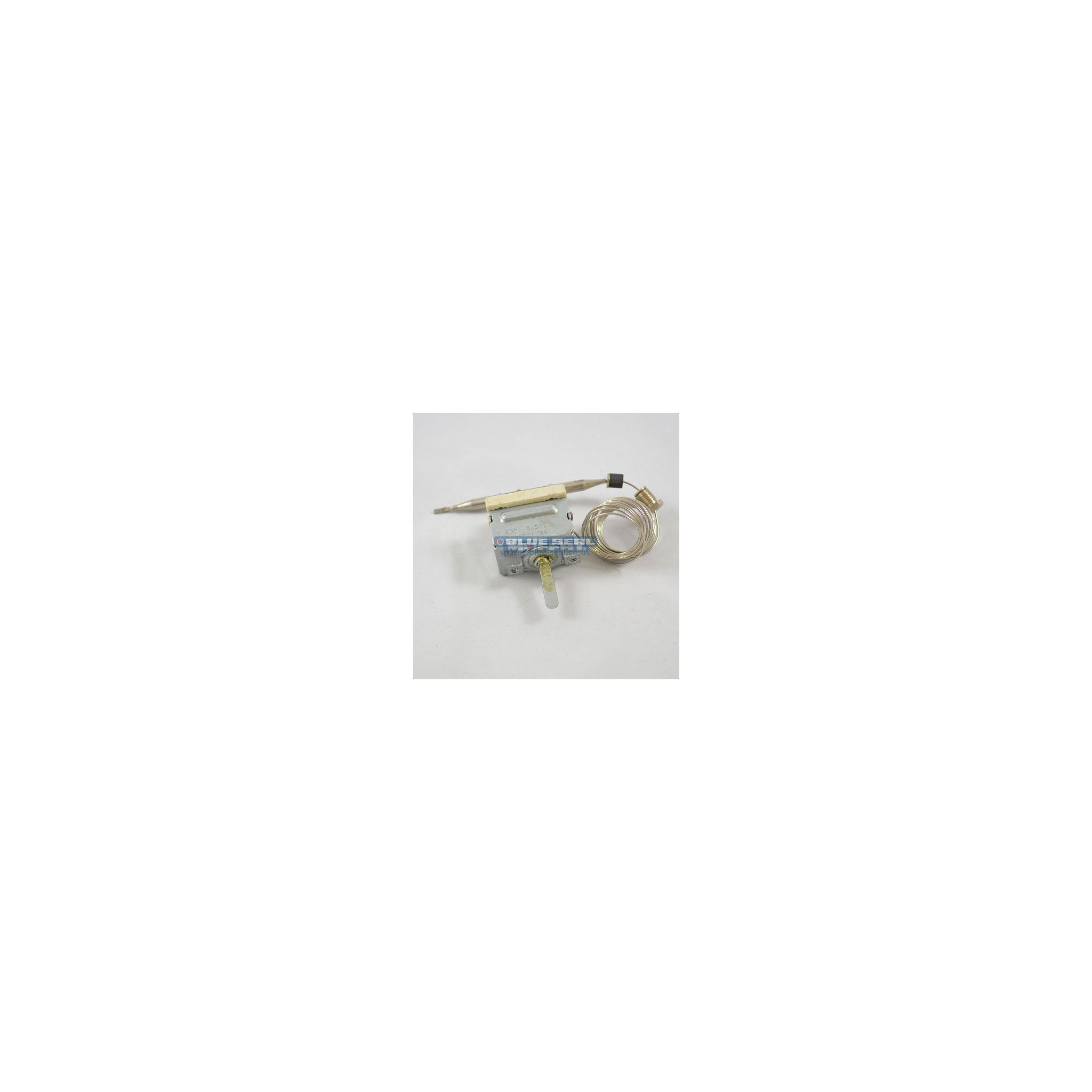 Blue Seal 022406/51 Thermostat