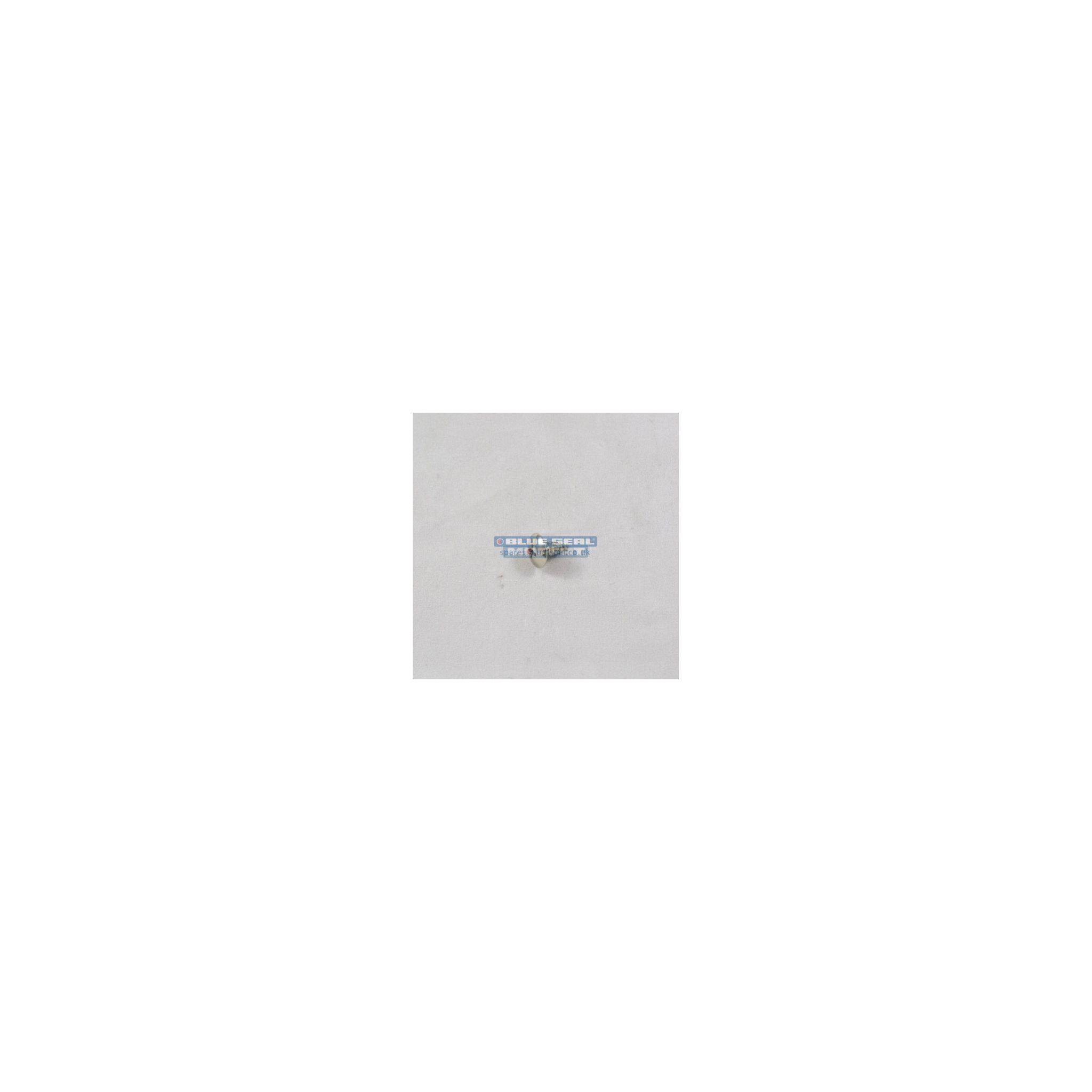 Blue Seal 041045 Screw for Turbofan Cooking Equipment