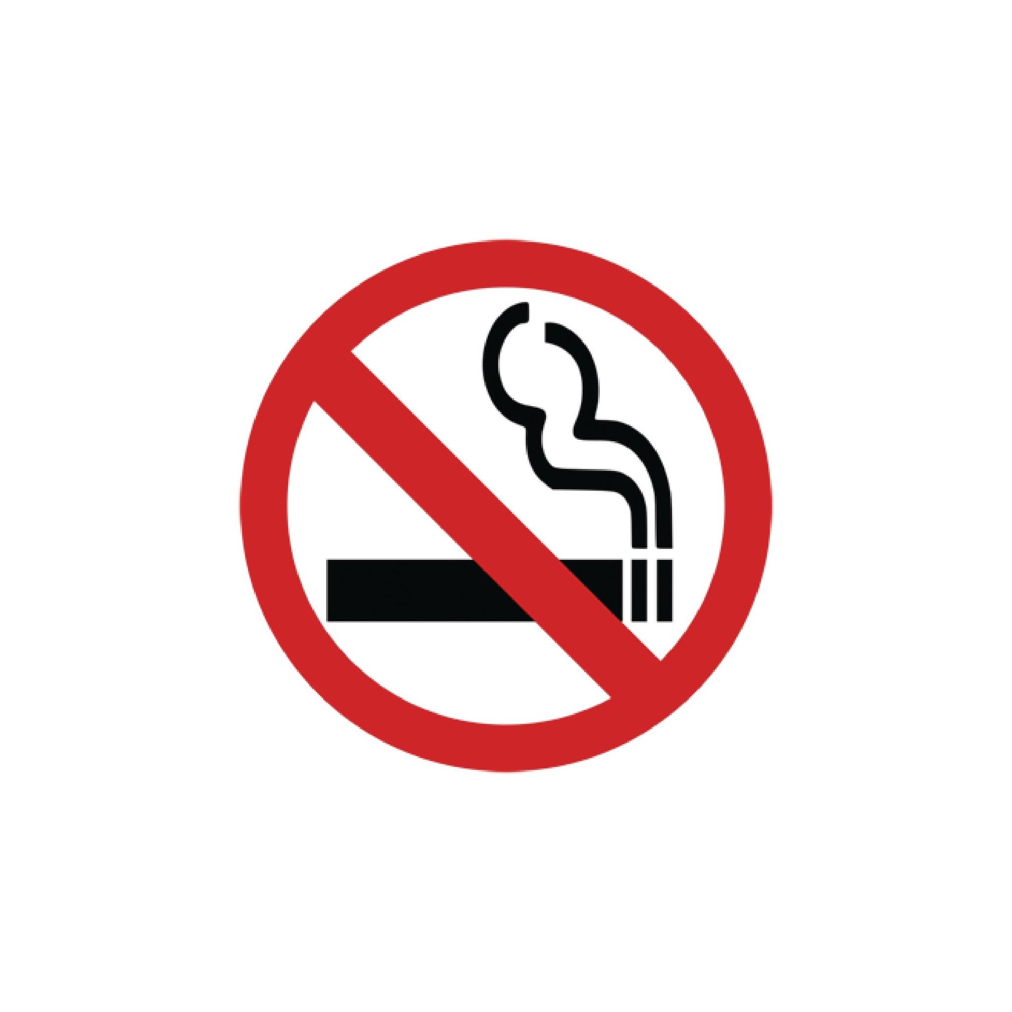 Vogue Y937 No Smoking Symbol Window Sign