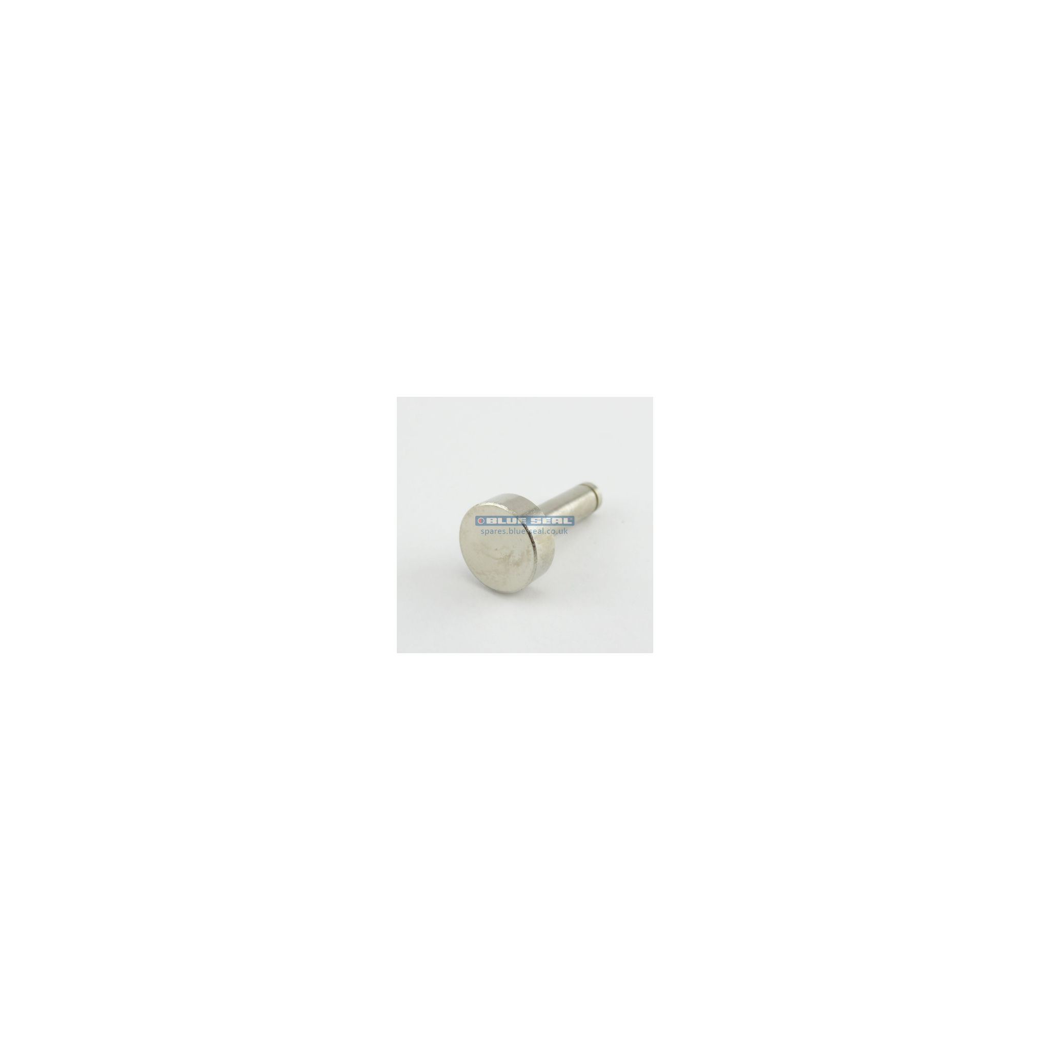 Blue Seal 021637/51 Microswitch Button