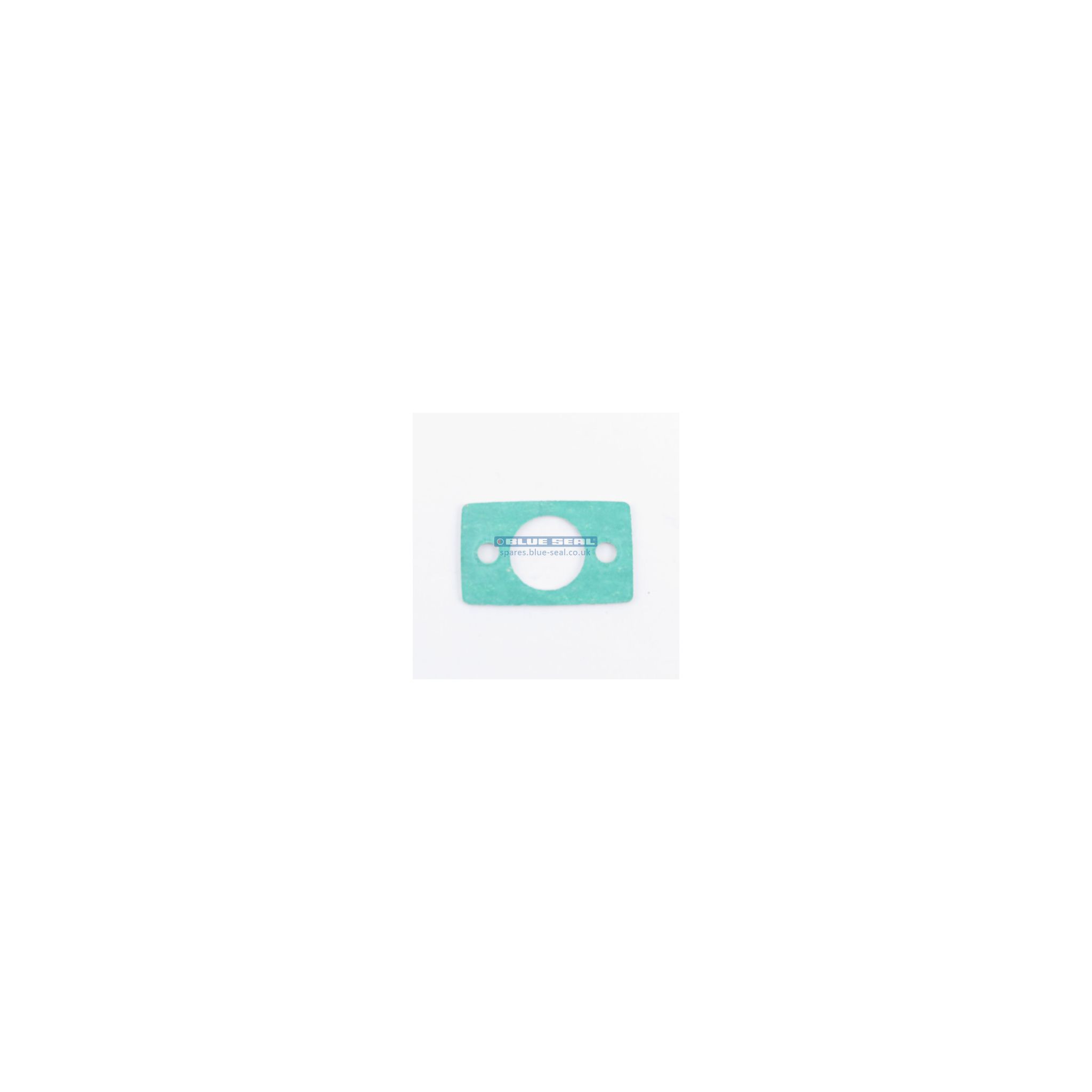 Blue Seal 020856/51 Gasket