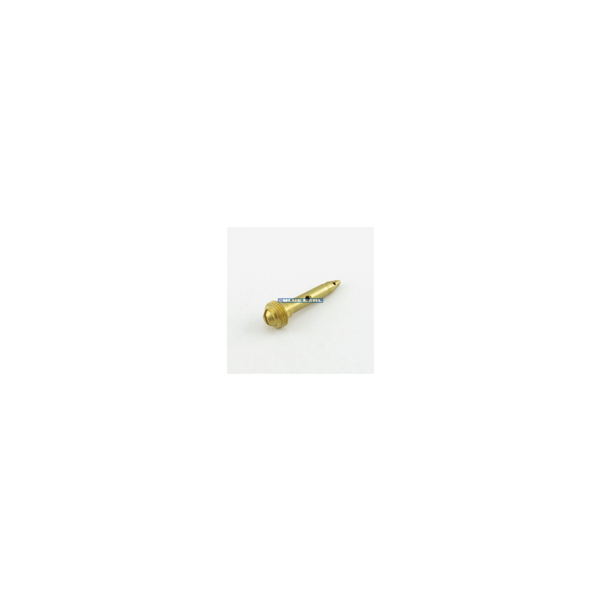 Blue Seal 227984 Pilot Injector 0.25mm LPG for Evolution Cooking Equipment