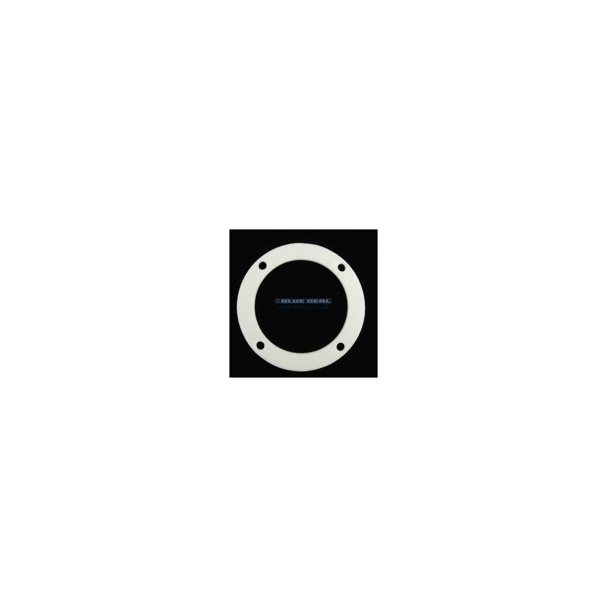 Blue Seal 020824/51 Vent Gasket