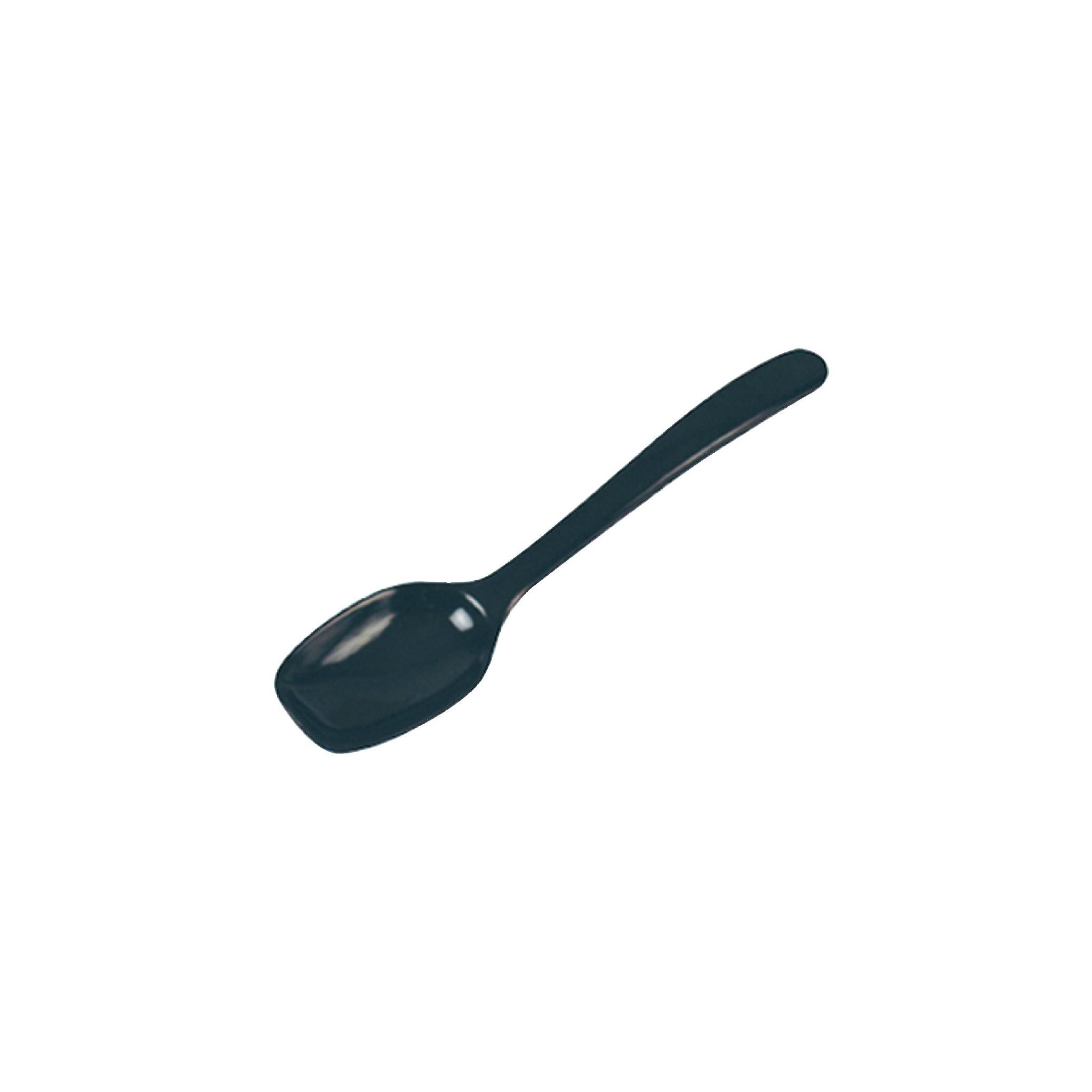 Dalebrook L296 Black Serving Spoon