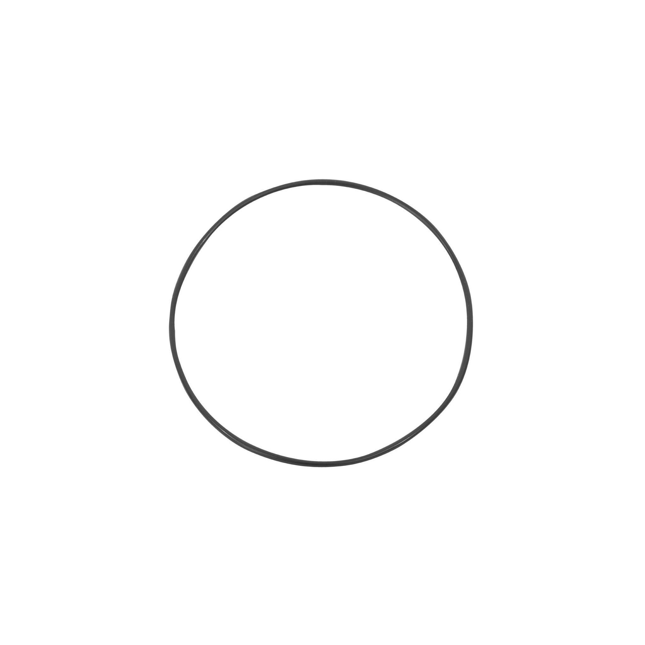 Santos AH287 O'Ring for No.65A Juicer Machine