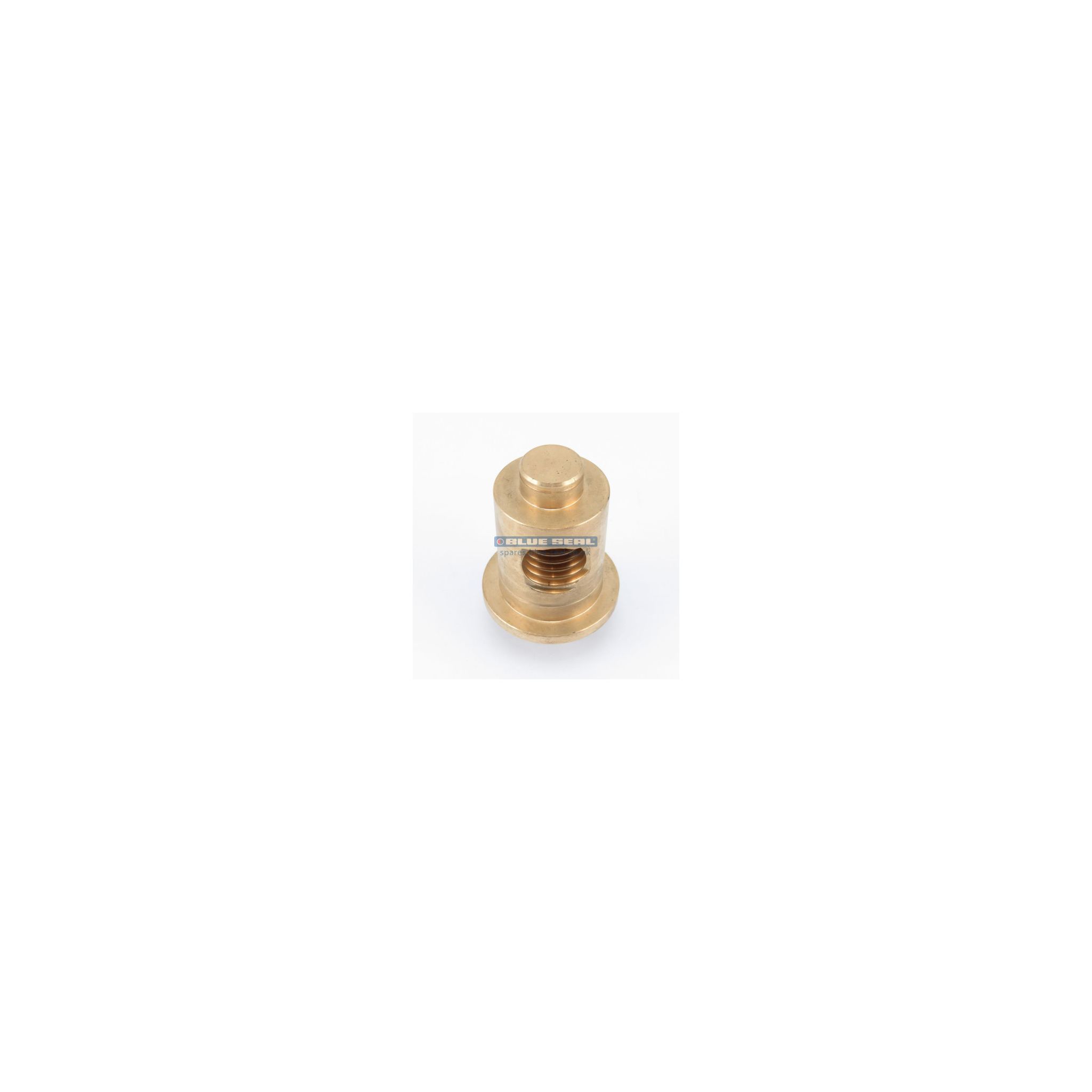 Blue Seal 019745/51 Pivot Bush for Evolution Gas Bratt Pans