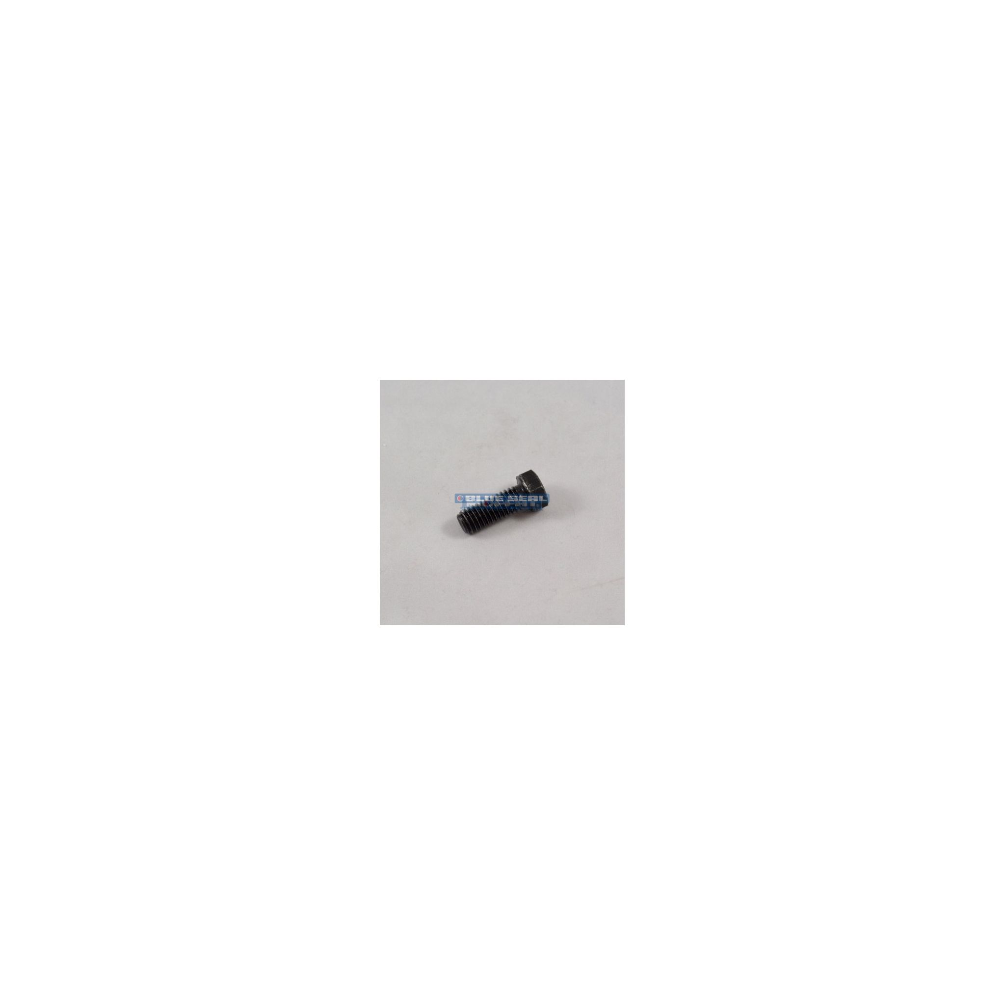 Blue Seal 020876/51 Black Hex Hinge Bolt