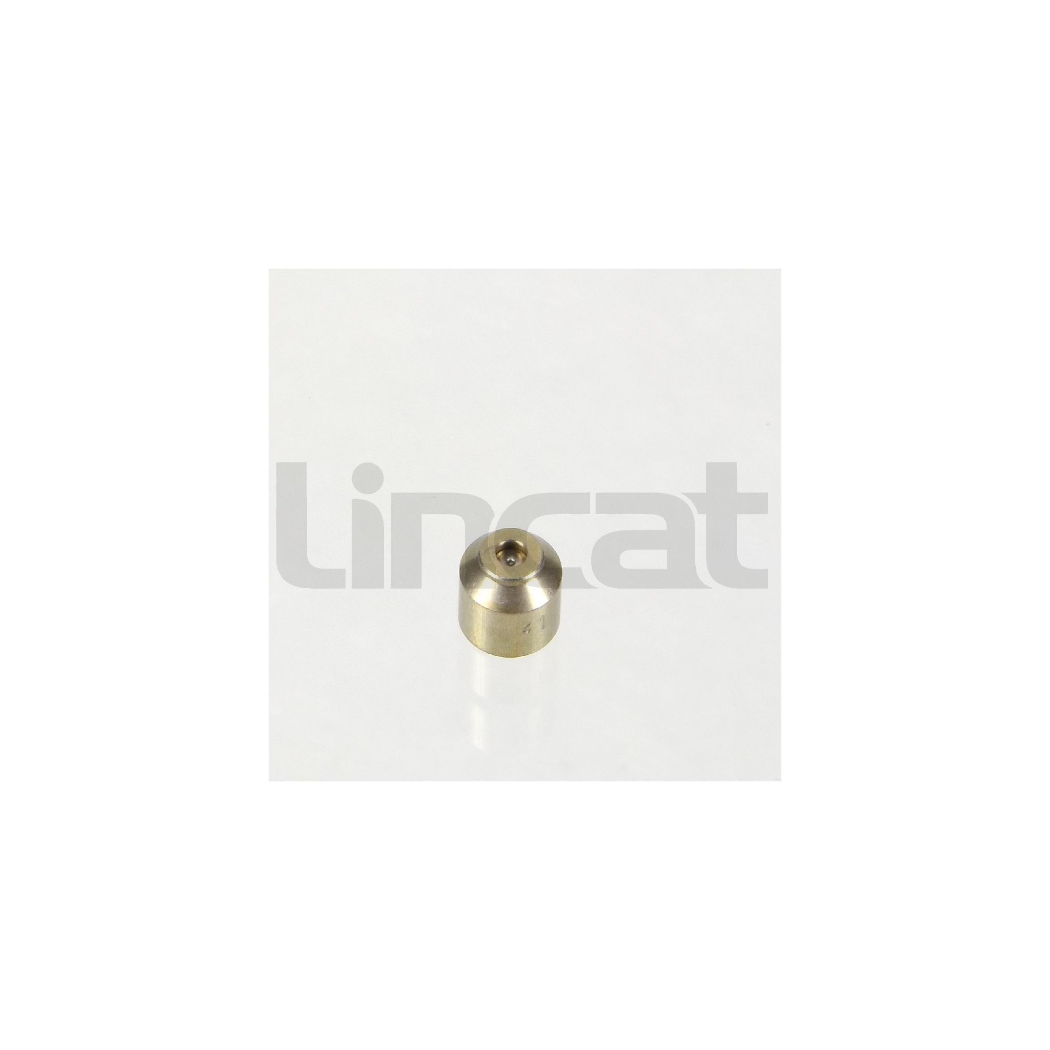 Lincat JE57 Pilot Injector 41 Nat