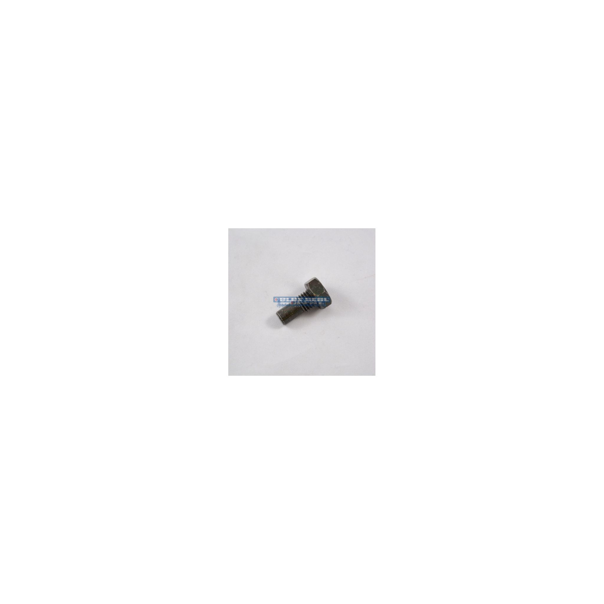 Blue Seal 020831/51 Hinge Bush Bolt