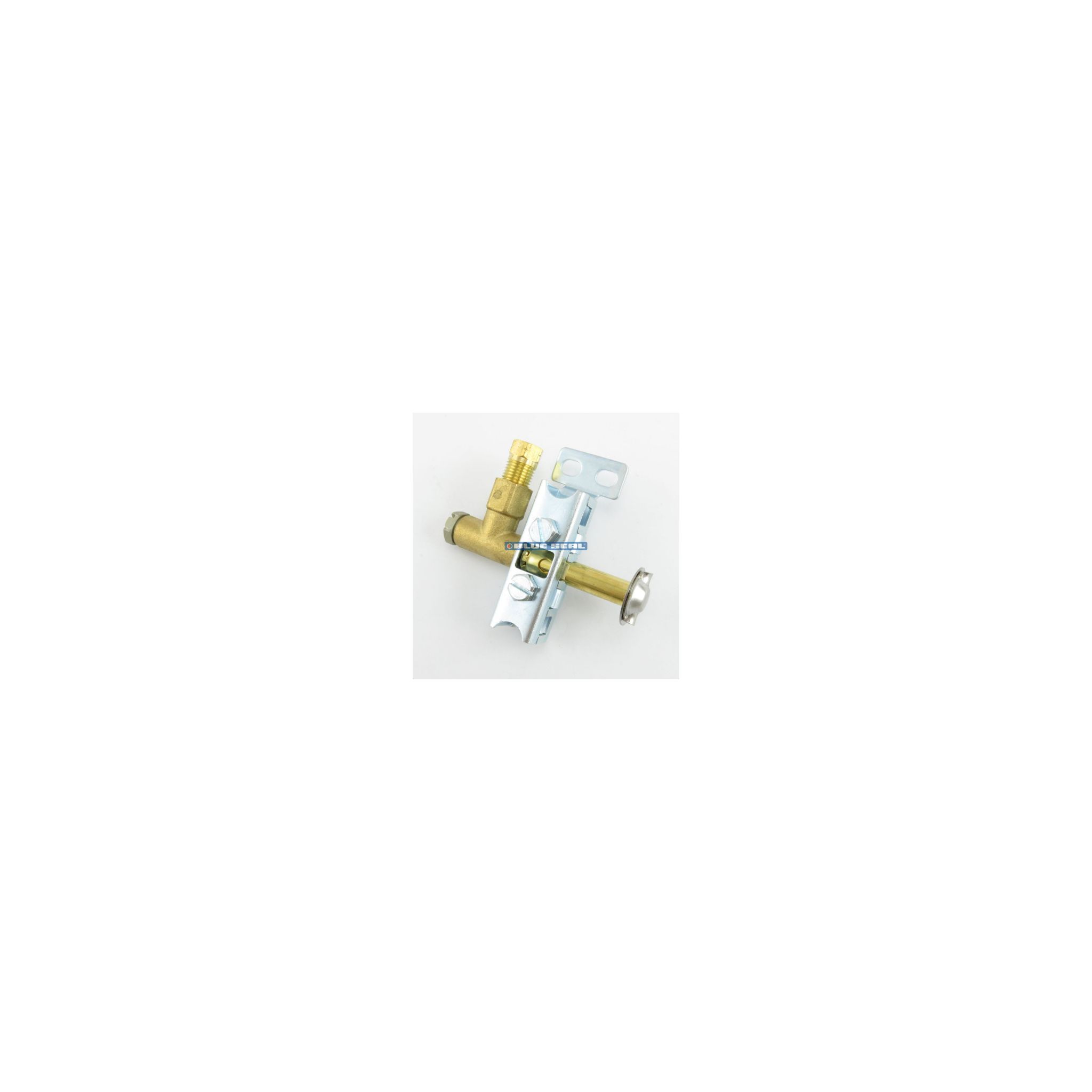 Blue Seal 229719 Pilot Assembly