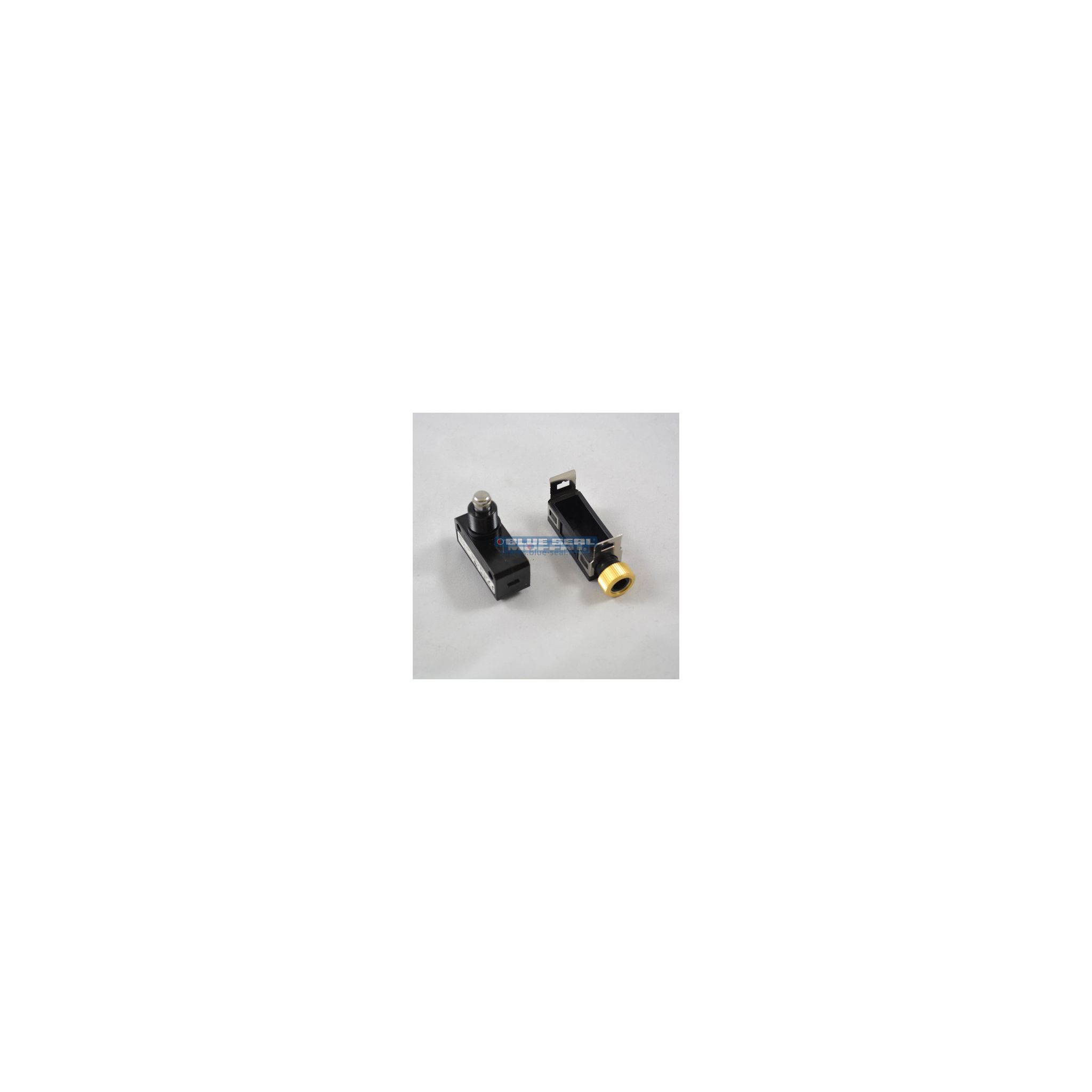 Blue Seal 020143/51 Microswitch