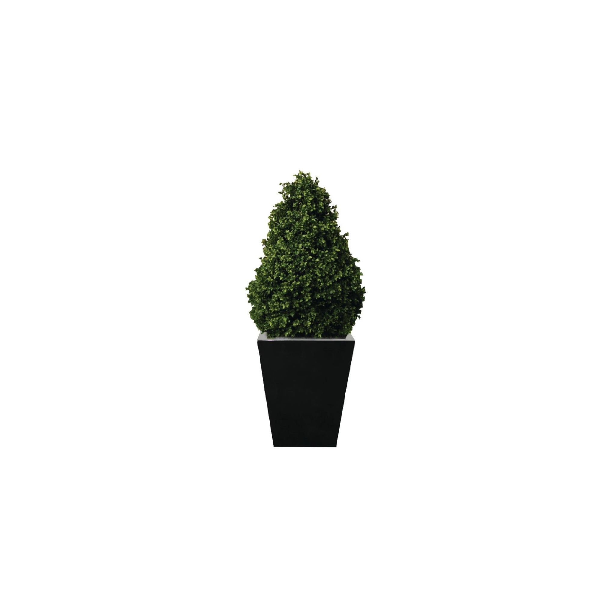 Bolero CD159 Artificial Topiary Buxus Pyramid 900mm