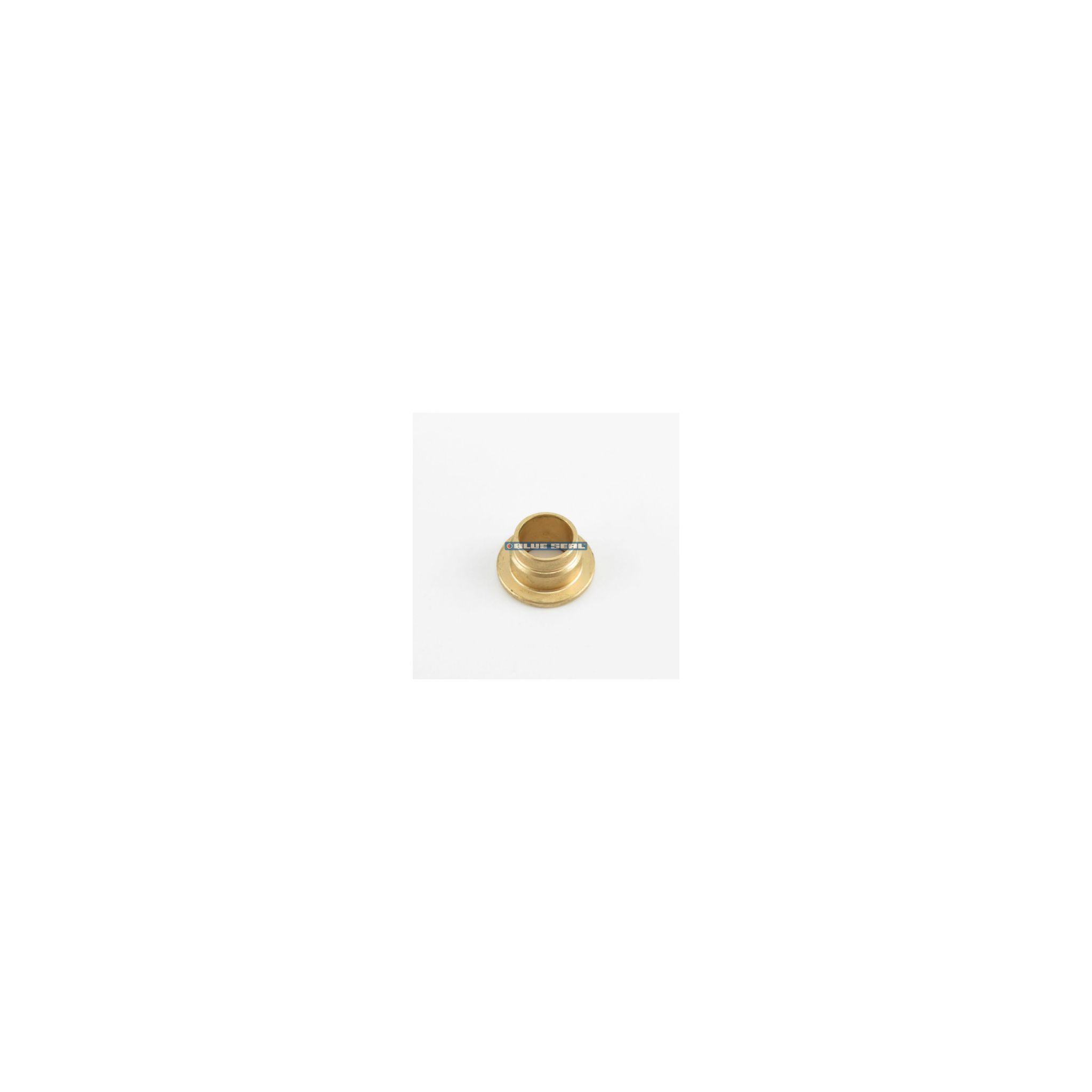 Blue Seal 230745 Hinge Bush
