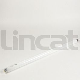 Lincat BU171