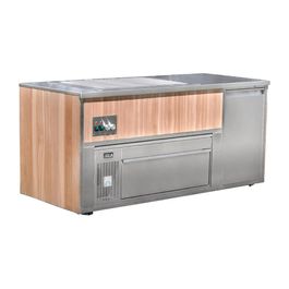 Synergy Grill FP451