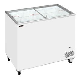 Tefcold IC300SC