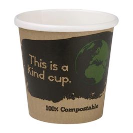 Fiesta Compostable DY980