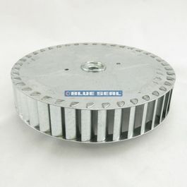 Blue Seal 228116