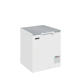 Tefcold EL22SS