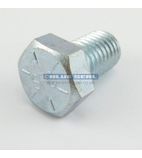 Image of 748010 5/8" Screw for Evolution Cooking Equipment
