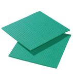 Image of CD814 Spongyl Green (Pack of 10)