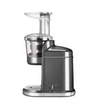DF920 Artisan Automatic Slow Juicer - Medallion Silver