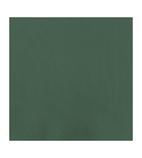 Image of CC589 Dinner Napkin Green 40x40cm 3ply 1/4 Fold (Pack of 1000)